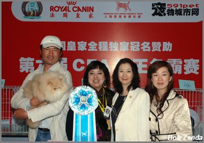 Highest Scoring Cat